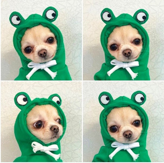 Froggy
