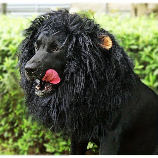 Big Cat?