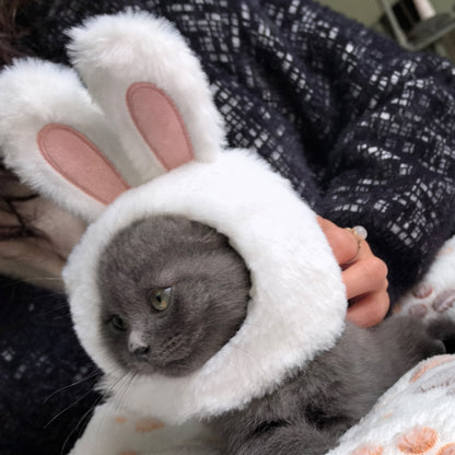 Cabbit