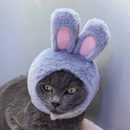 Cabbit