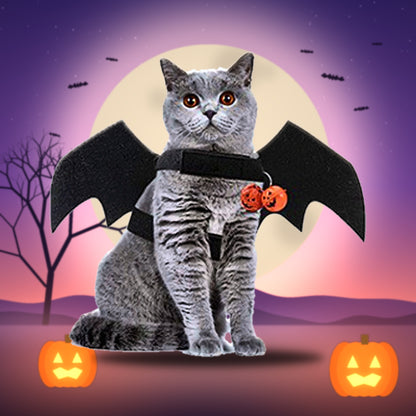 Catman