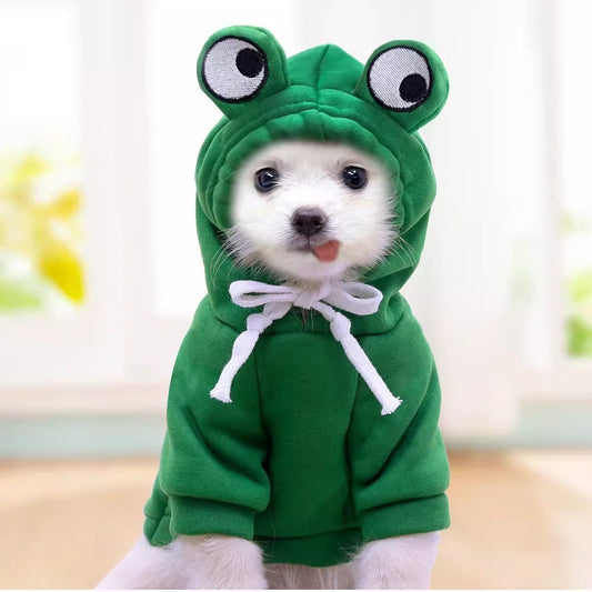 Froggy
