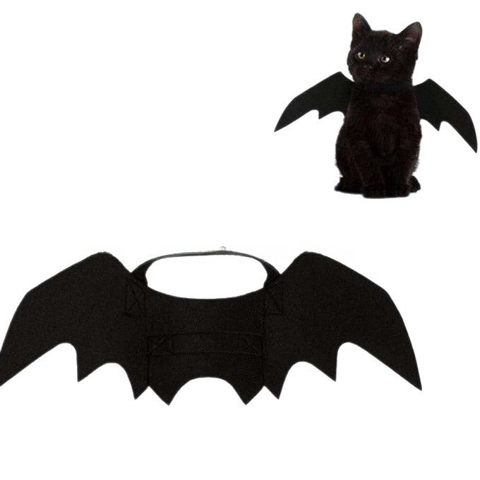 Catman