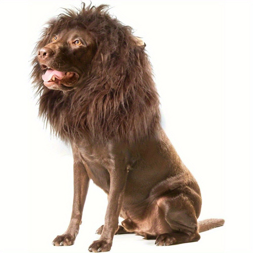 Big Cat?