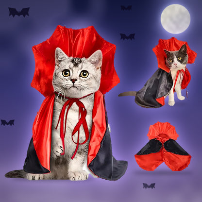 Catula